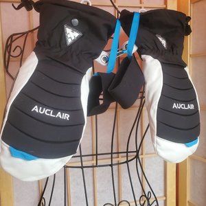 Auclair Powder Country mittens